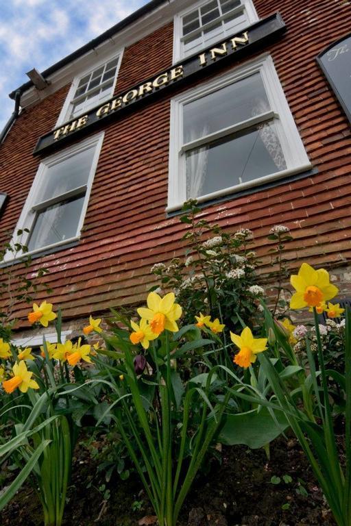 The George Inn Robertsbridge Værelse billede